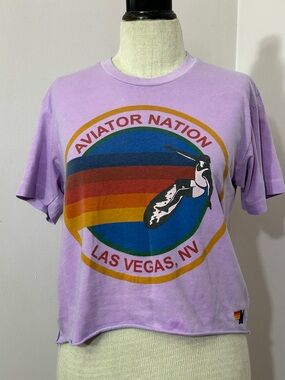 Aviator Nation Purple Crop T Shirt Small